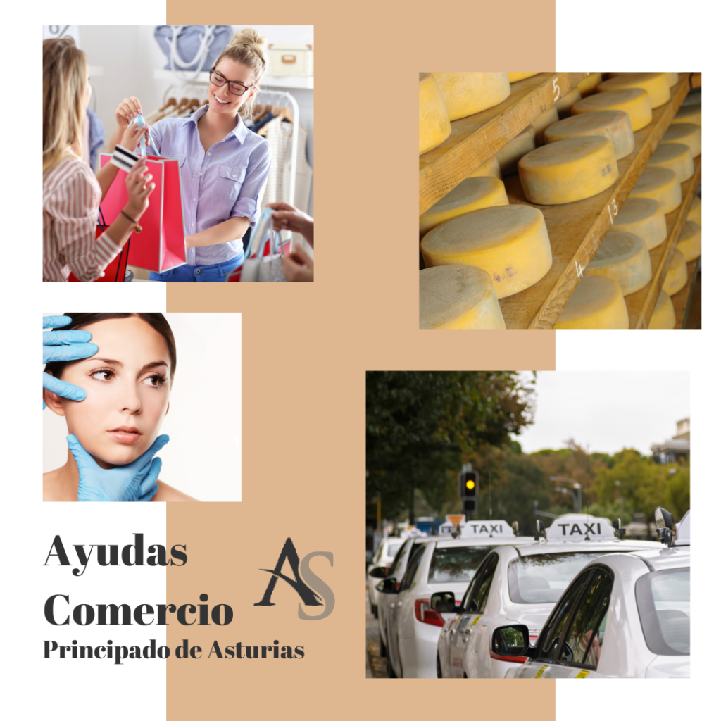 Ayudas Comercio Principado de Asturias Alperi Asesores Gestoria Administrativa